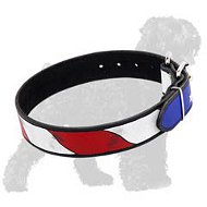 Amazing American Patriot colored Black Russian Terrier collar