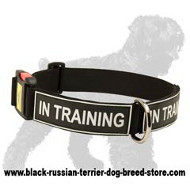 Fabulous Extra Strong Russian Terrier Nylon Dog Collar with Patches