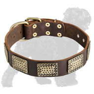 Gorgeous Handcrafted Leather Russian Terrier Collar with Large Plates