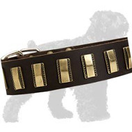 Gorgeous Leather Russian Terrier Collar with Hand Set Sparkling Plates