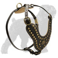 Outstanding Design Studded Leather Harness for Black Russian Terriers