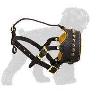Brilliantly Designed Russian Terrier Leather Dog Muzzle with Brass Studs