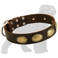Gorgeous Vintage Dog Leather Collar for Russian Terriers