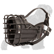 Wire Cage Soft Padded Muzzle for Walking for Black Russian Terriers