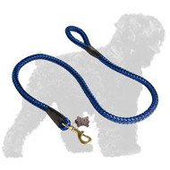 Colorful Cord Nylon Russian Terrier Leash