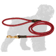 Cord Nylon Black Russian Terrier Lead