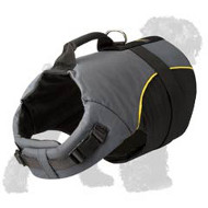 Stunningly Decorated Waterproof Nylon Russian Terrier Harness