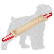 Reliable Stitched Jute Russian Terrier Bite Tug