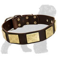 Extravagant Leather Dog Collar with Brass Plates for Russian Terriers