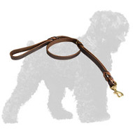 Reliable Leather Black Russian Terrier Leash with Braids