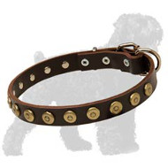 Gorgeous Leather Russian Terrier Collar With Dotted Circles