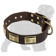 Posh Leather Black Russian Terrier Collar with Brass Plates