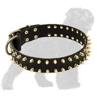 Brass Spiked Leather Black Russian Terrier Collar