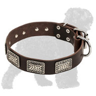 Trendy Nickel Plated Leather Russian Terrier Collar