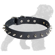 Stylish Leather Russian Terrier Collar with One Row of Nickel Spikes