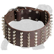 Wide Spiked and Studded Leather Russian Terrier Collar