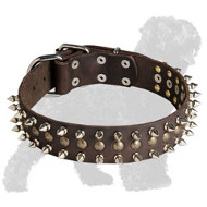 Decorated Leather Russian Terrier Collar with Spikes and Half Balls