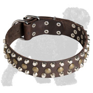 Decorative Leather Russian Terrier Collar with Studs and Pyramids