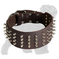 Stylish Wide Leather Russian Terrier Collar with Spikes