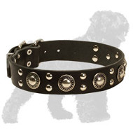 Extraordinary Leather Black Russian Terrier Collar with Studs and Conchos