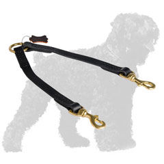 Carefully Stitched Leather Russian Terrier Coupler