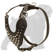 Marvellous Russian Terrier Leather Harness with Silver Colored Pyramids