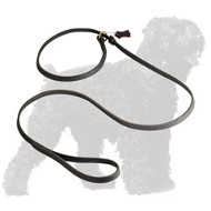 Strong Leather Russian Terrier Leash and Collar Combo