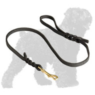 Handcrafted Leather Black Russian Terrier Leash
