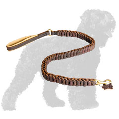 Stylish Braided Leather Russian Terrier Leash