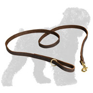 Top Quality Stitched Leather Russian Terrier Leash