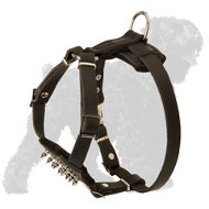Small Walking Leather Black Russian Terrier Harness with Spikes