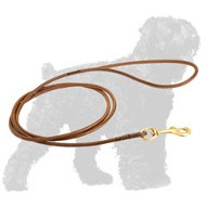 Elegant Leather Black Russian Terrier Dog Show Leash