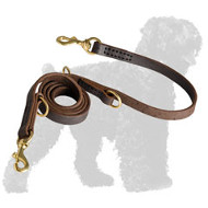 Multifunctional Leather Black Russian Terrier Leash