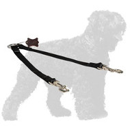 Stitched Nylon Russian Terrier Leash for Walking Two Dogs