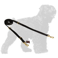 Water Resistant Nylon Russian Terrier Leash