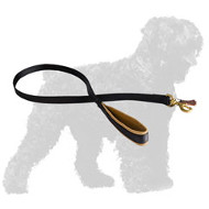 Water Proof Nylon Russian Terrier Leash with Soft Handle