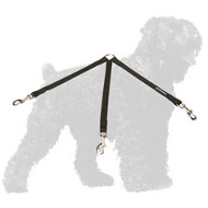 Triple Nylon Black Russian Terrier Coupler