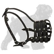 Everyday Easy Wearing Black Russian Terrier Muzzle