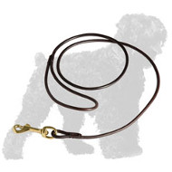 Elegant Rolled Leather Russian Terrier Show Leash