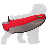 Fabulous Russian Terrier Nylon Winter Coat with a Stand-Up Collar