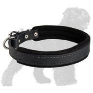 Leather Black Russian Terrier Collar Padded with Thick Felt