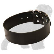 2 inch Wide Leather Russian Terrier Collar for Walking