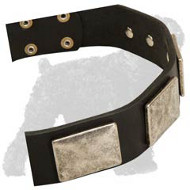 Brilliant Leather Dog Collar with Nickel Plates for Russian Terriers