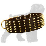Staggering Wide Leather Walking Collar with Brass Fittings for Black Russian Terrier