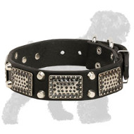 Gorgeous Leather Russian Terrier Collar with Vintage Nickel Plates and Cones