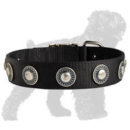 Fashionable Nylon Collar with Silvery Conchos for Training