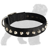 Gorgeous Wide Nylon Dog Collar With Nickle Pyramids