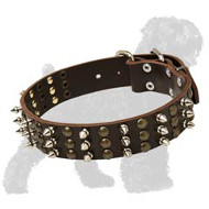 Spiked and Studded Leather Black Russian Terrier Collar