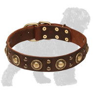 Skillfully Decorated Leather Russian Terrier Collar with Brass Circles and Studs