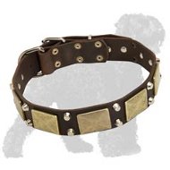 Luxury Wide Leather Russian Terrier Collar with Massive Plates and Nickel Studs
